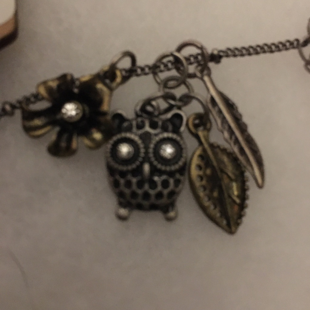 Gh Bass Jewelry. Nwt